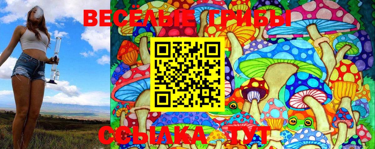 цены   Псилоцибиновые грибы GOLDEN TEACHER  Вход с VPN  Жигулёвск 